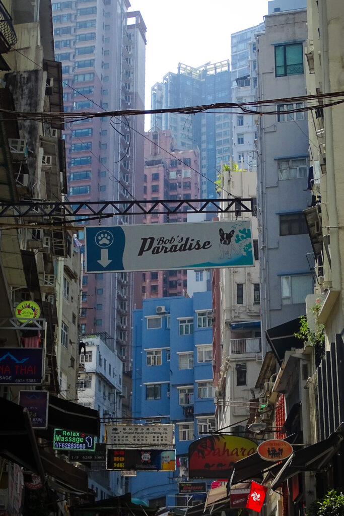 Hong Kong : paradis ou terre de rêves déchus ? - Diane Robert