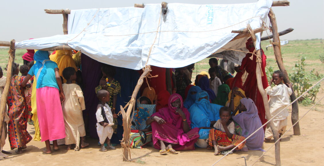 The Cost of Inaction: Sudan’s Worsening Humanitarian Crisis – MIR